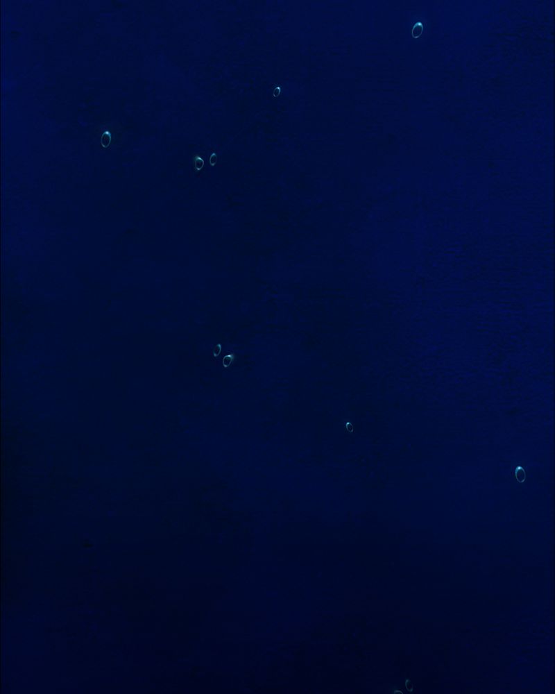 尸间断漫画,第16章：牵挂（一）4图