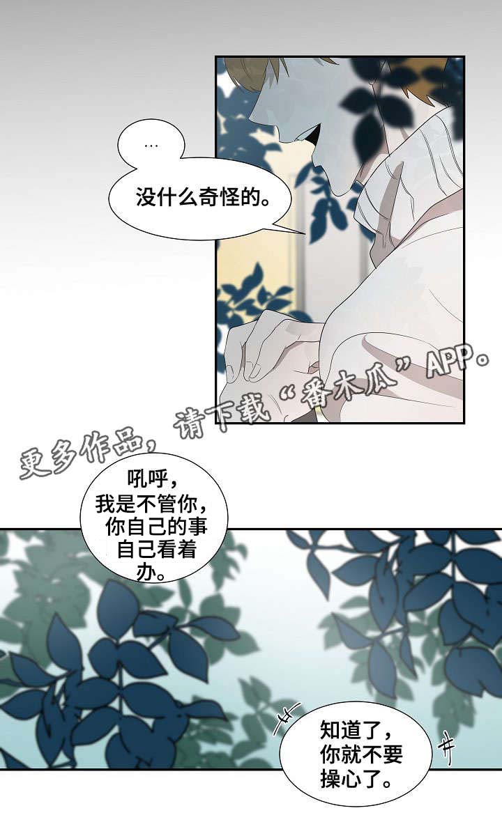 权位守护漫画,第32章：新人1图