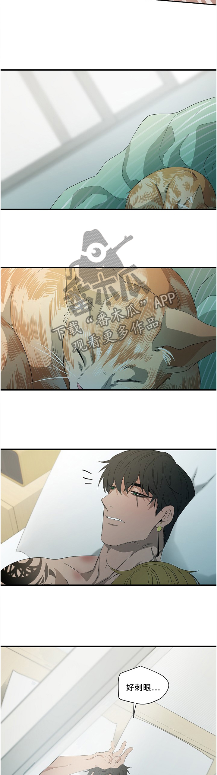 权位守护漫画,第89章：【外传】享受这一切1图