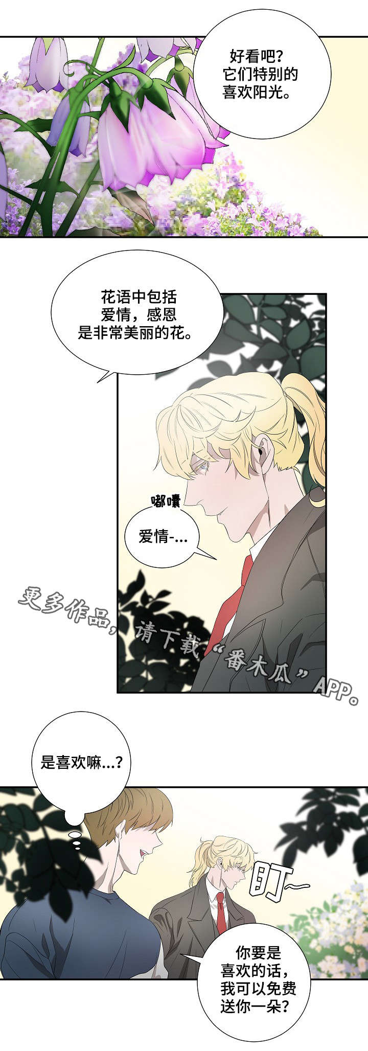 权位守护漫画,第18章：太阳花1图