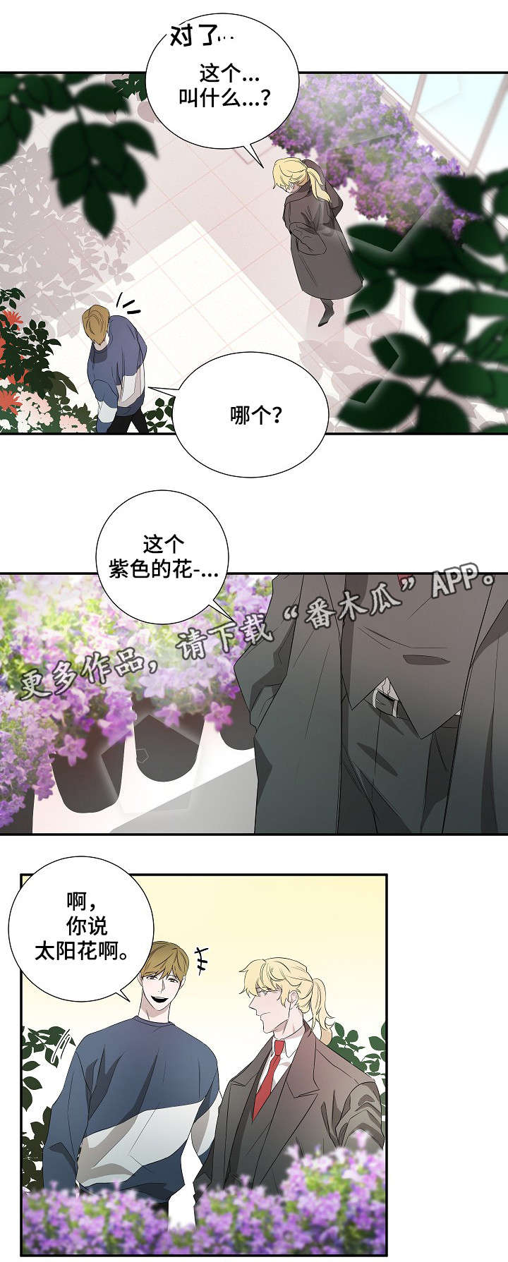 权位守护漫画,第18章：太阳花5图