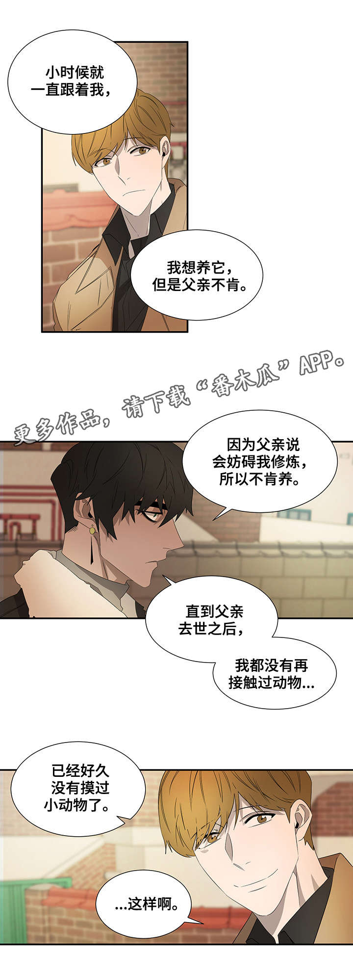 权位守护漫画,第21章：好奇心3图