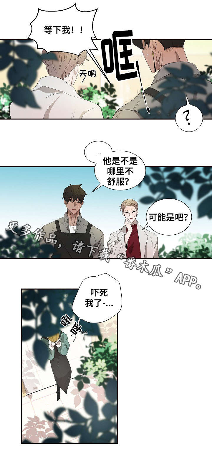 权位守护漫画,第34章：脸红2图