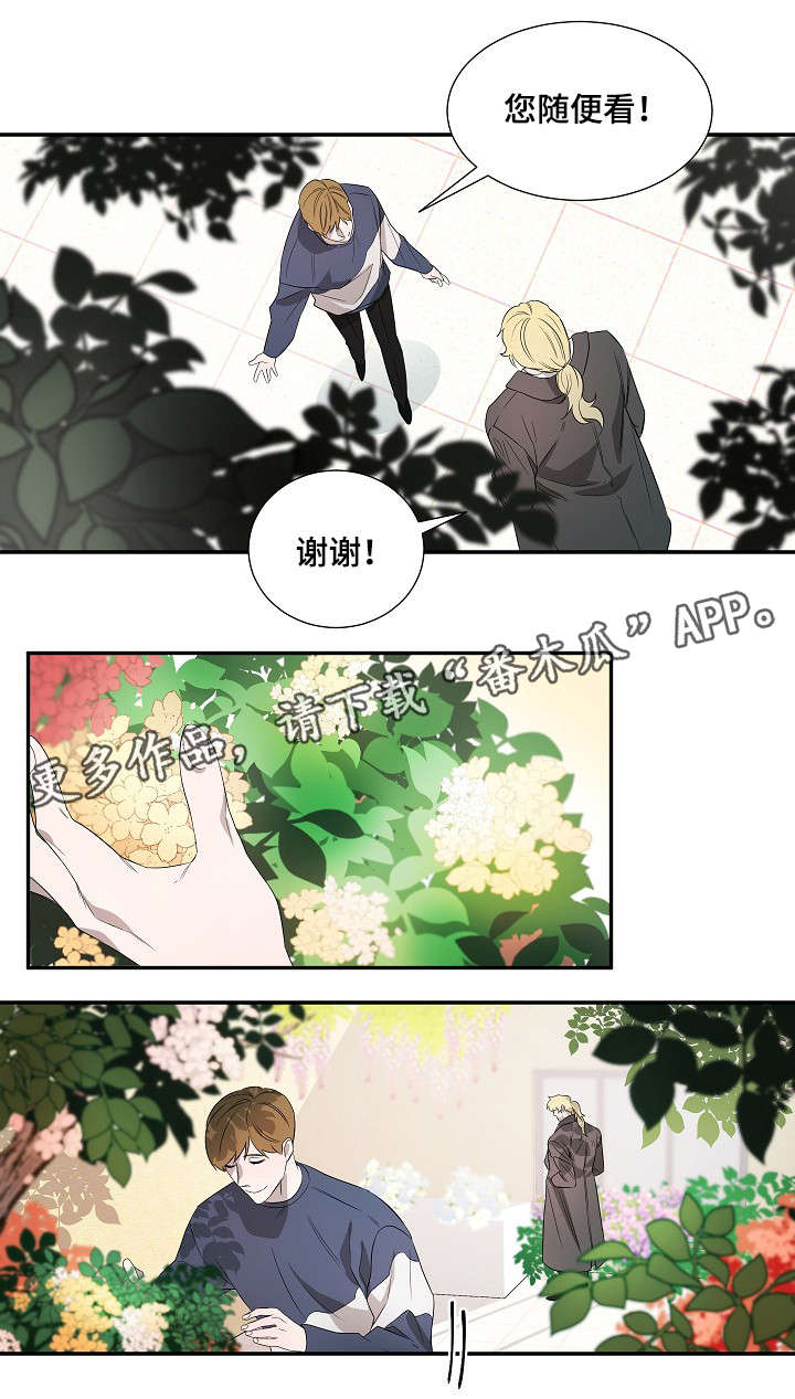 权位守护漫画,第18章：太阳花2图