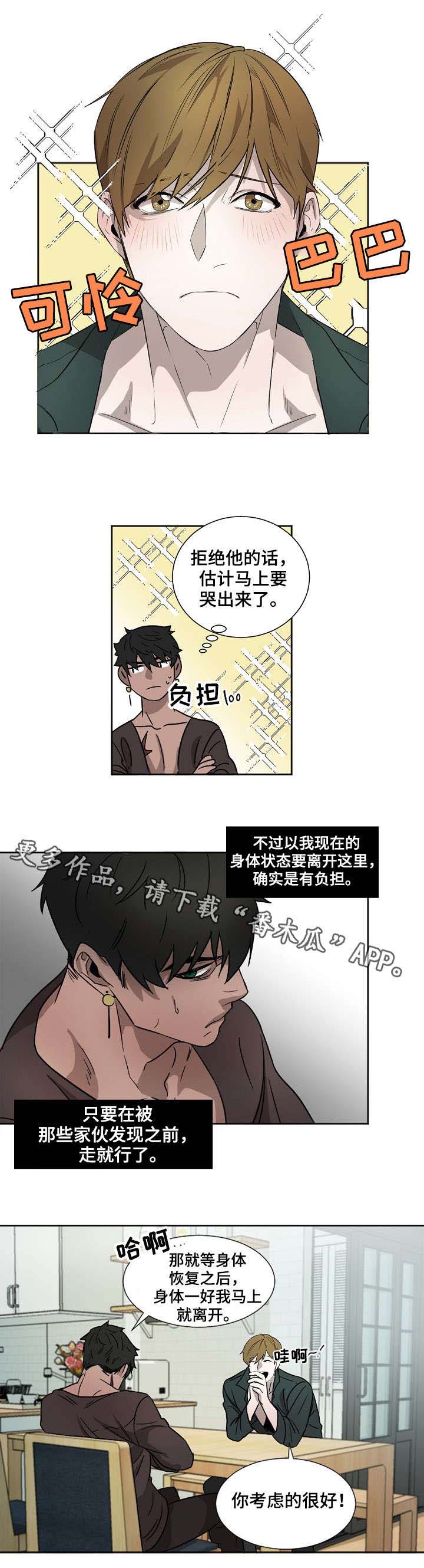 权位守护漫画,第6章：狗4图