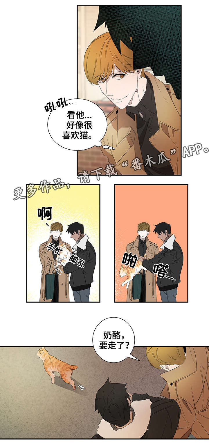 权位守护漫画,第21章：好奇心1图