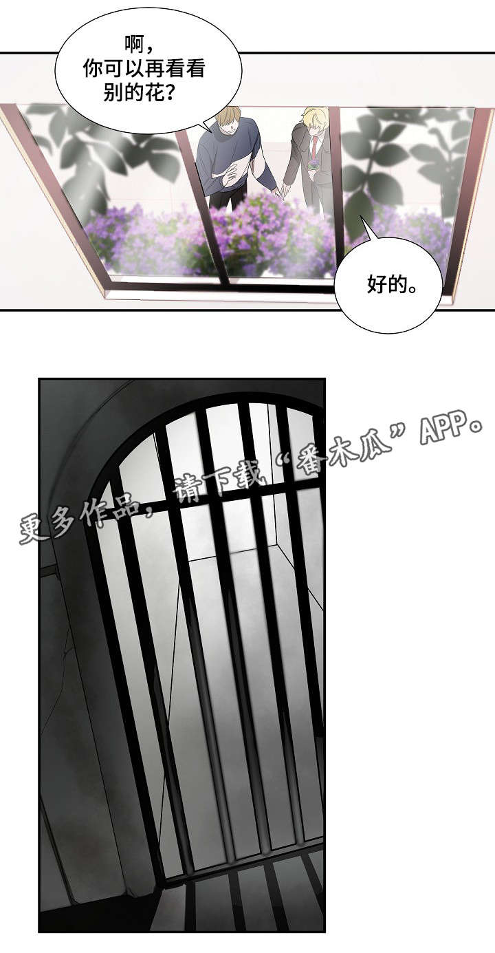 权位守护漫画,第18章：太阳花4图