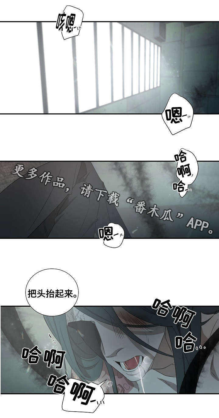 权位守护漫画,第32章：新人2图