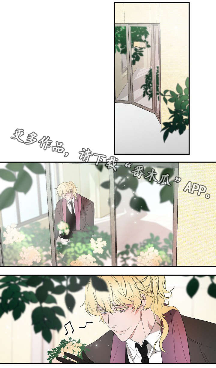 权位守护漫画,第25章：声音5图