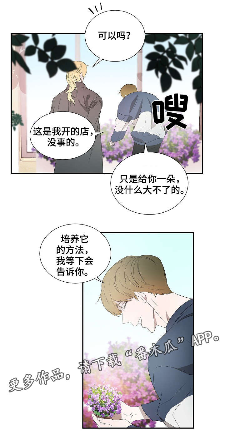 权位守护漫画,第18章：太阳花2图