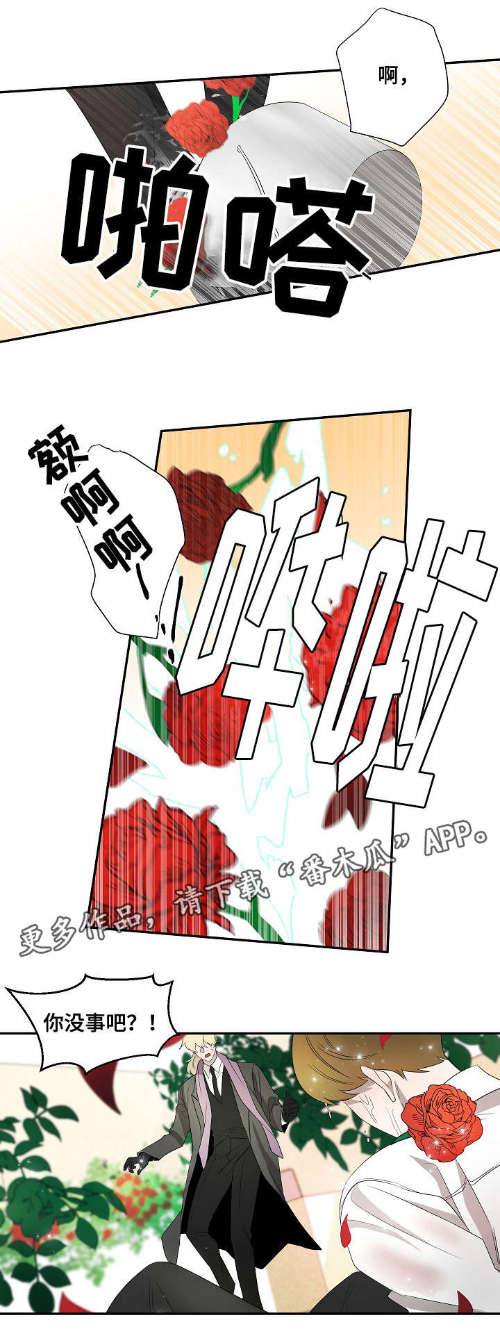 权位守护漫画,第26章：纹身2图