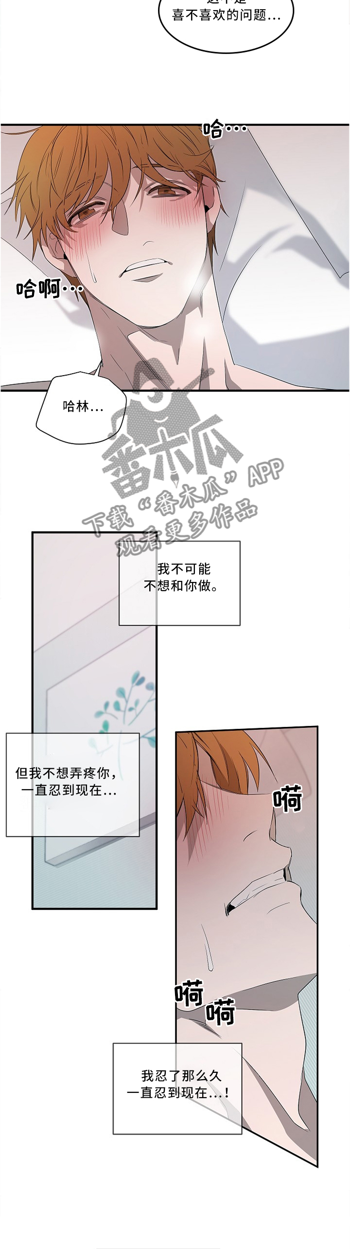权位守护漫画,第89章：【外传】享受这一切4图