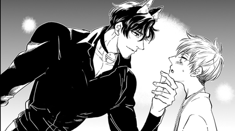 我的小奶猫_banner