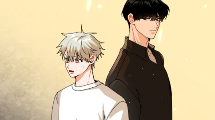 只接受完美结局_banner