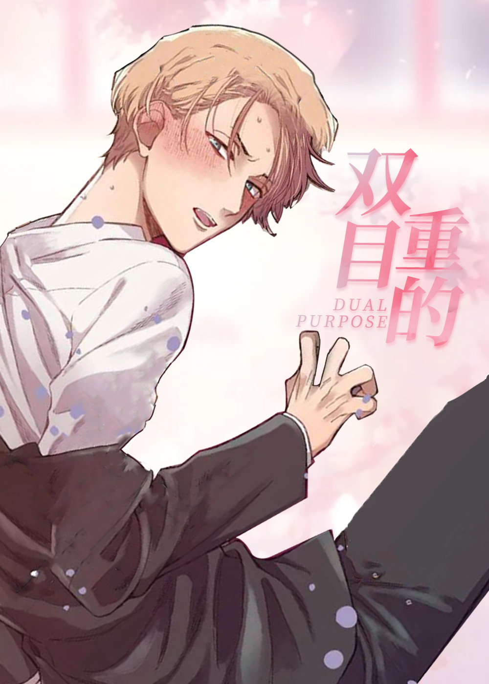 双重目的,双重目的漫画