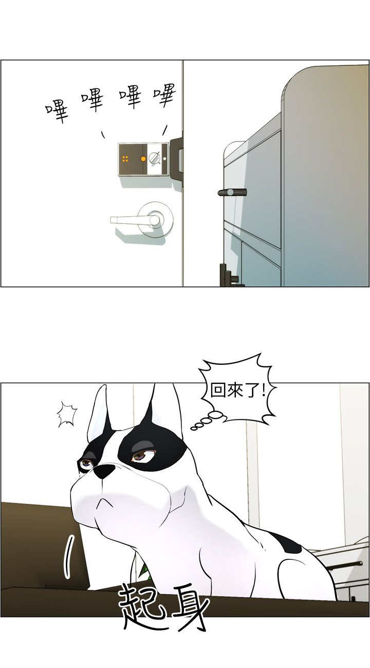 物种转换 漫画完结漫画,第11章：做卫生4图