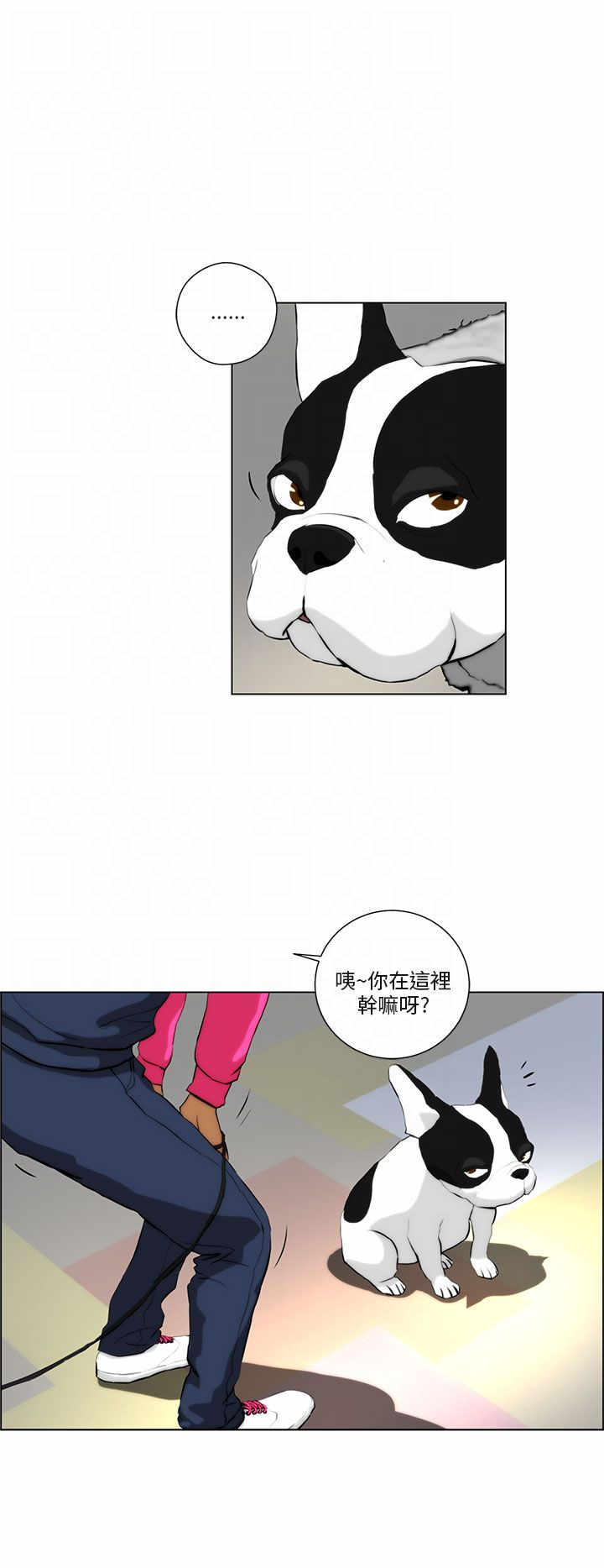 物种起源的作者是谁漫画,第1章：雷击4图