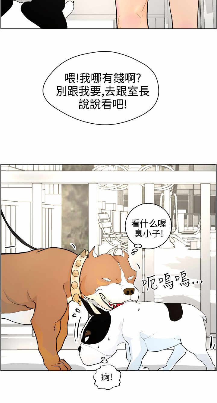 物种转换漫画,第7章：遛狗3图