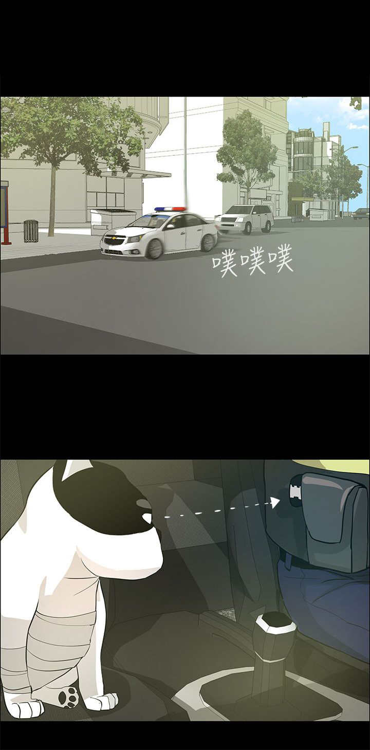 物种转换漫画,第30章：恢复人形4图