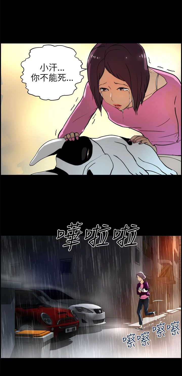 物种转换器视频漫画,第24章：纪念币2图