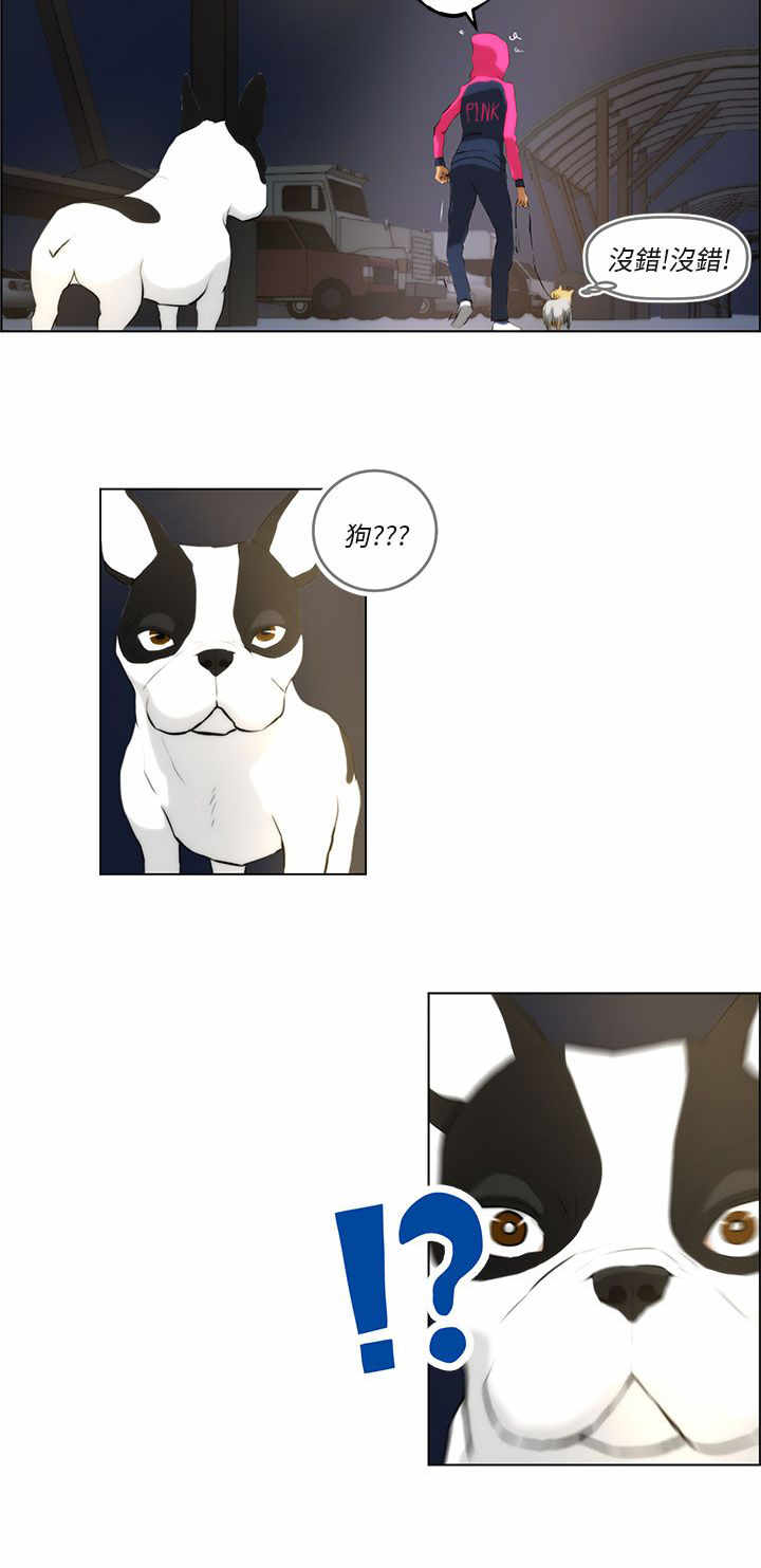 物种起源的作者是谁漫画,第1章：雷击2图