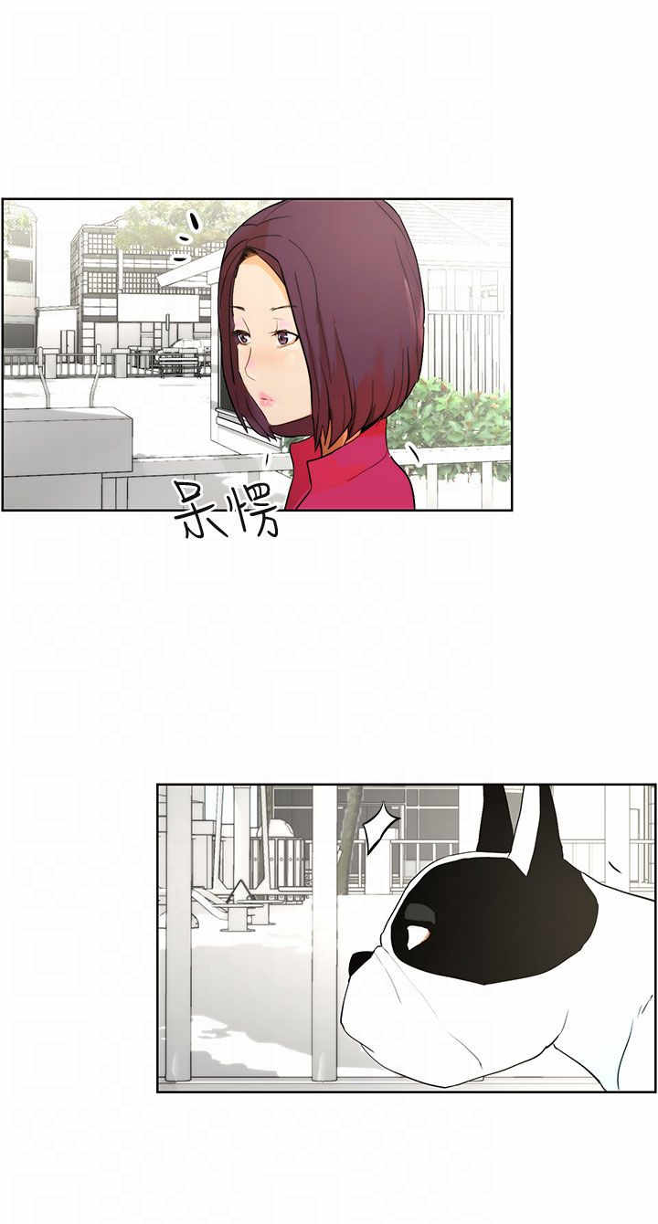 物种转换漫画,第7章：遛狗1图