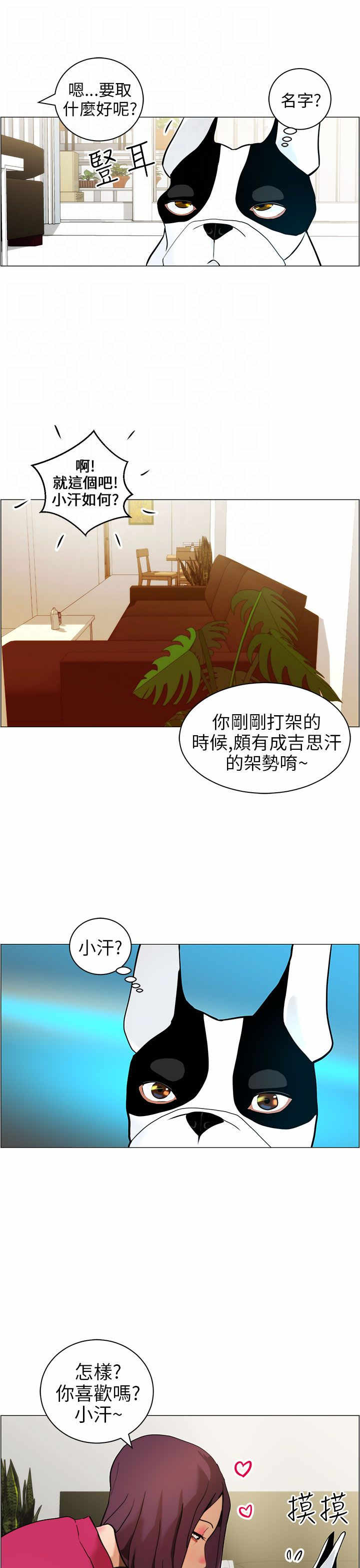 宠物一生转换一次物种漫画,第9章：小汗1图