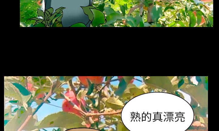 虚荣与谎言漫画,第48章：都准备好了5图