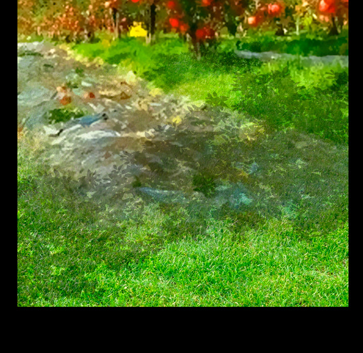 虚荣与谎言漫画,第48章：都准备好了3图