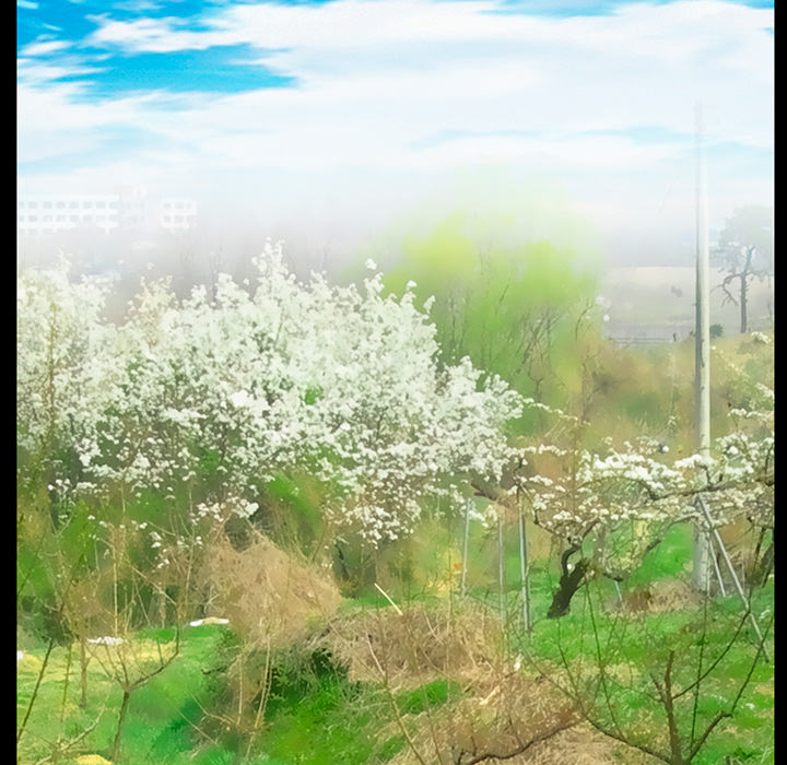 虚荣与谎言漫画,第49章：交往吧3图