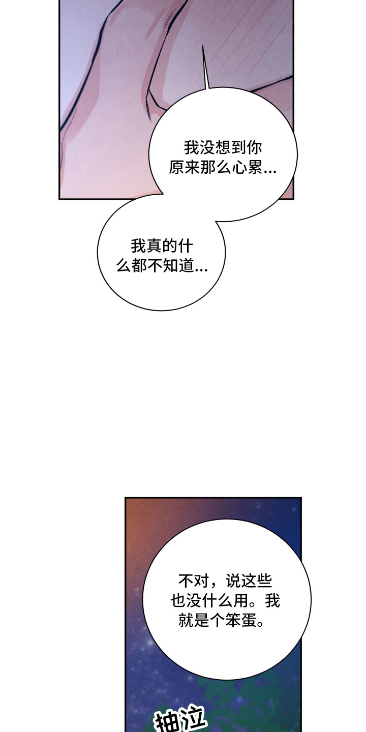 流星落入掌中漫画,第16章：你是我的1图