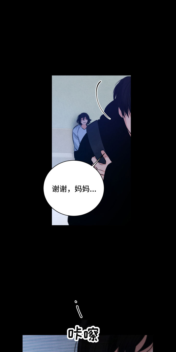 流星落入掌中漫画,第13章：过去3图