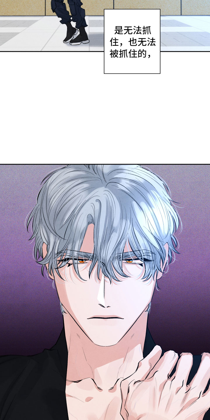 流星落入掌中漫画,第1章：再相逢5图