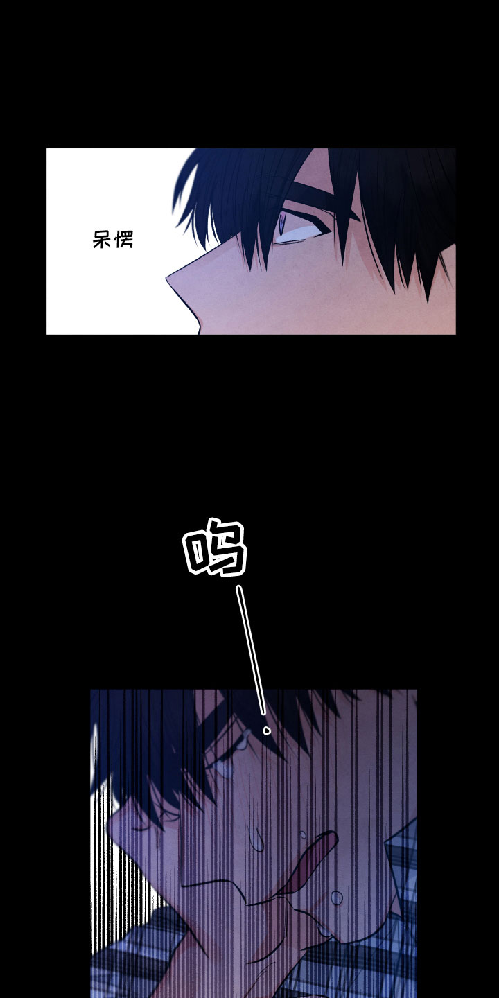 流星落入掌中漫画,第14章：还好你在5图