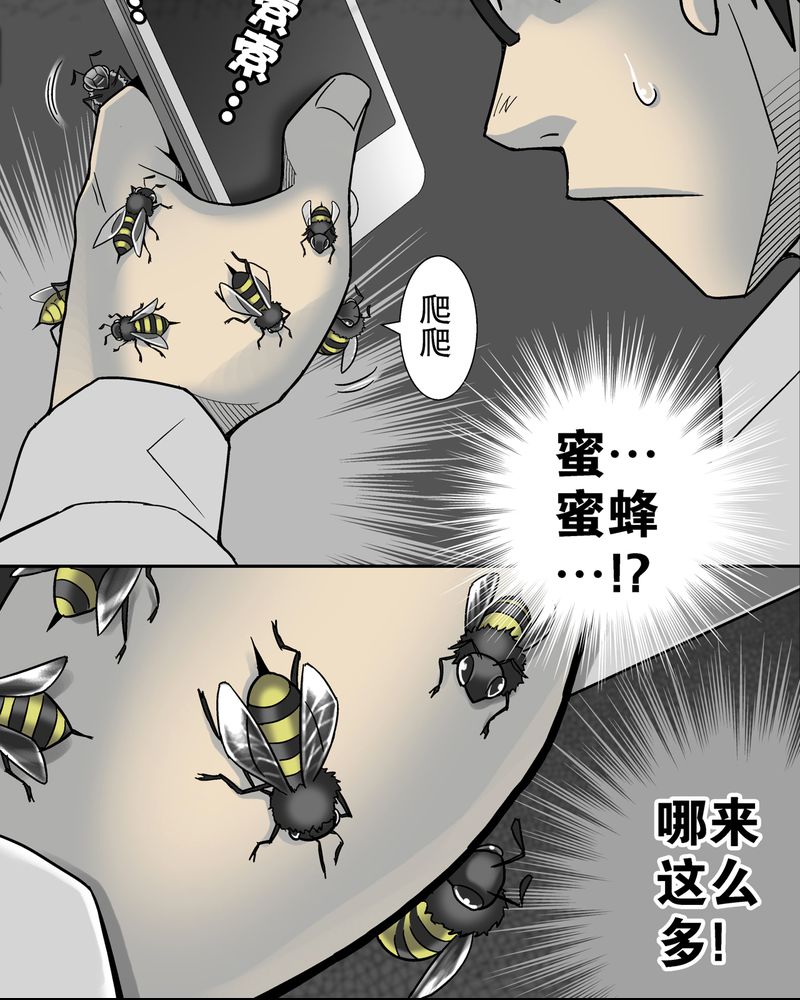 高陵先生漫画,第6章：蜂女完结篇5图