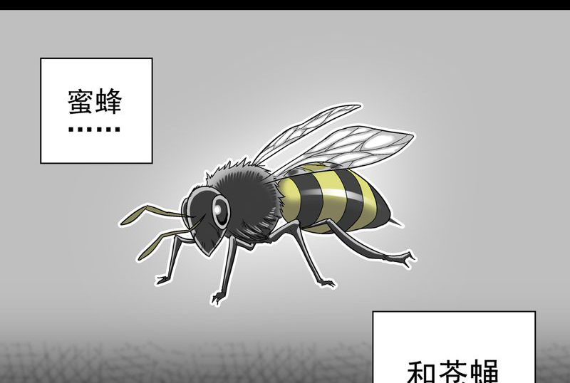 高陵先生漫画,第3章：蜂女上1图