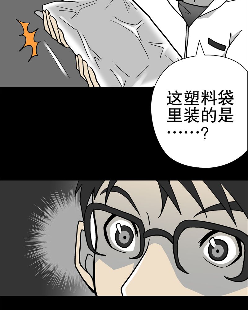 高陵先生漫画,第37章：第四具骸骨2图