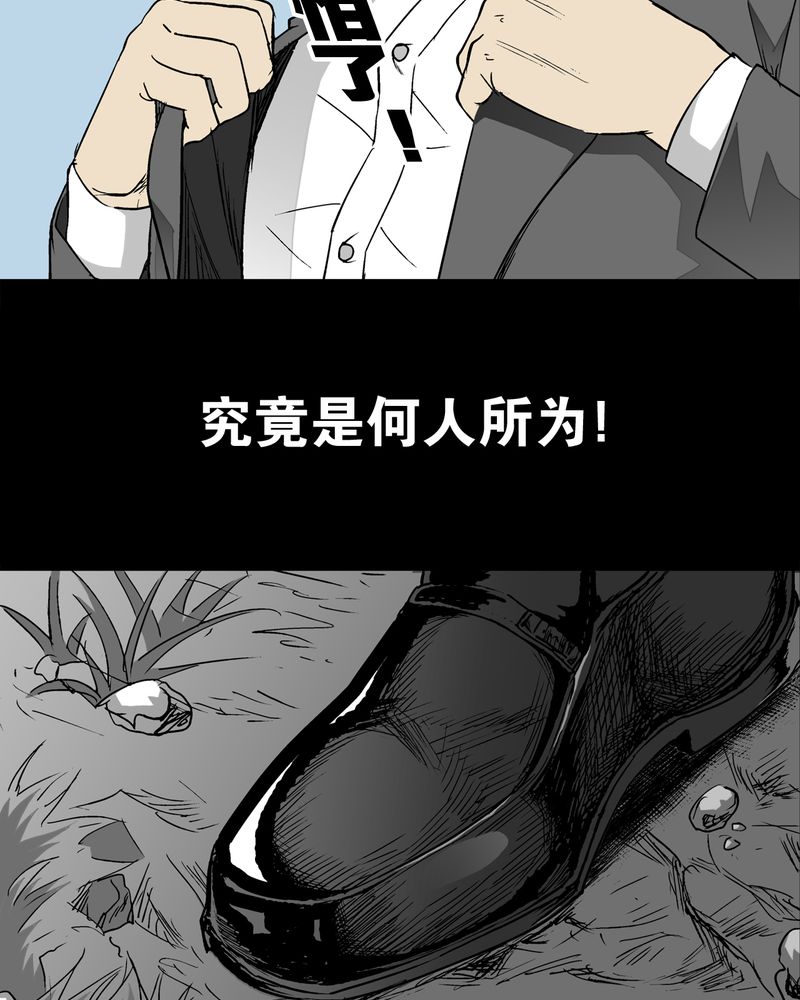 高陵先生漫画,第65章：似幻非幻1图