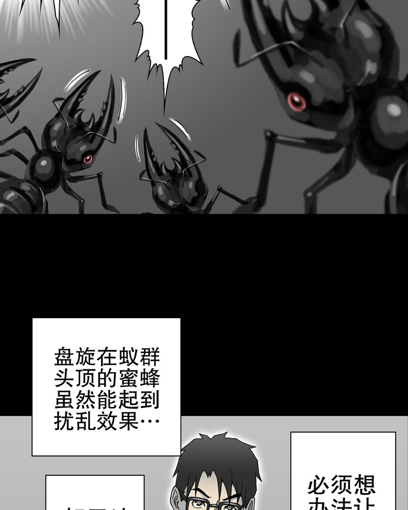 高陵先生漫画,第57章：冒险的选择1图