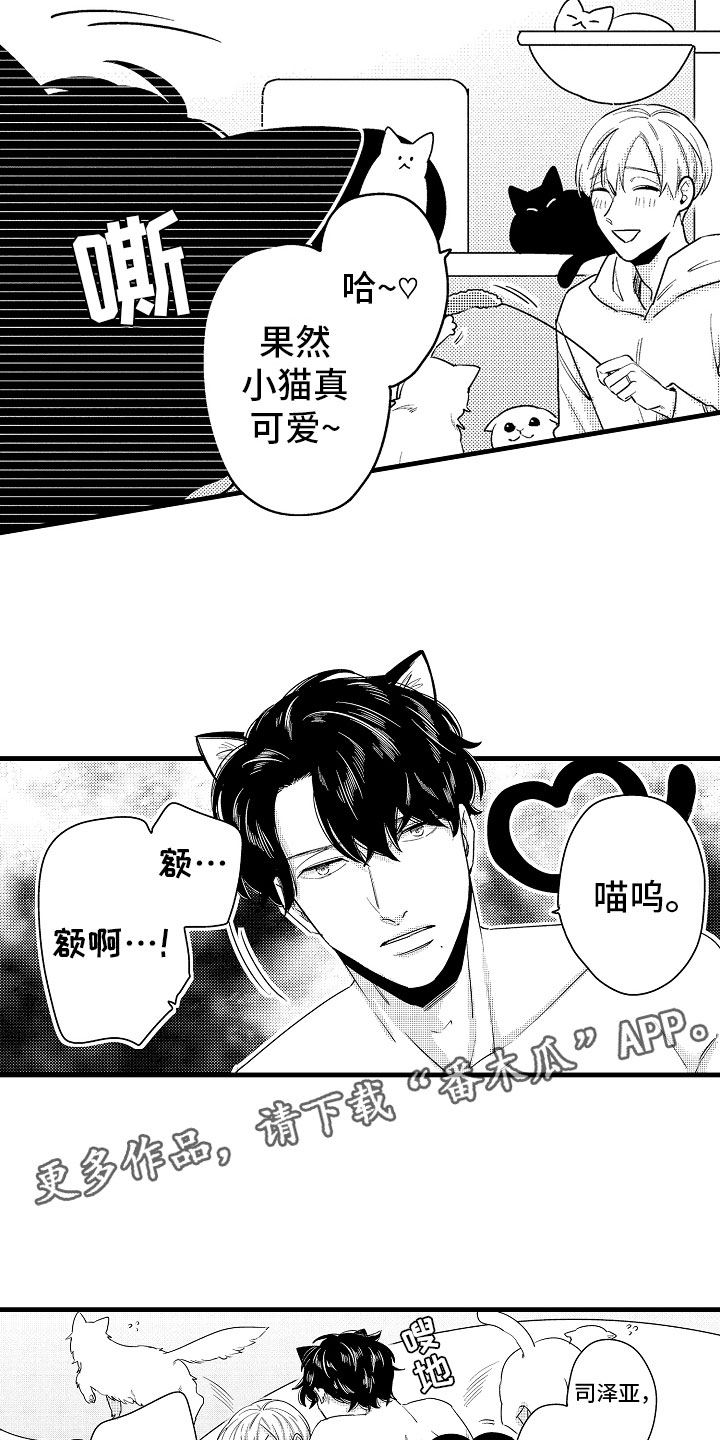 婚姻协奏曲漫画,第15章：比那更重要1图