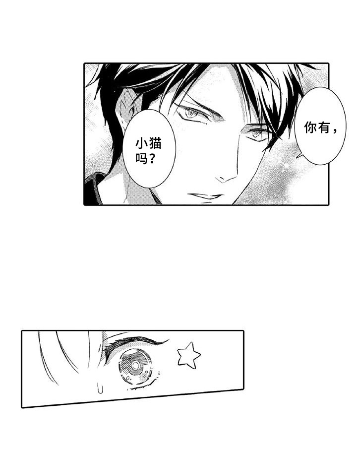 黑狐漫画,第6章：小猫4图