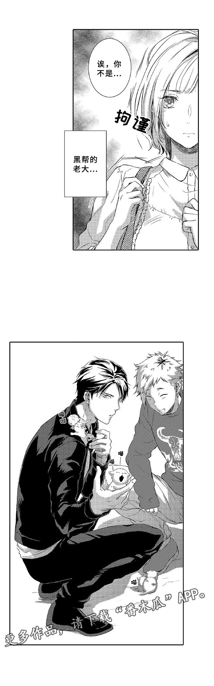 黑狐漫画,第6章：小猫3图