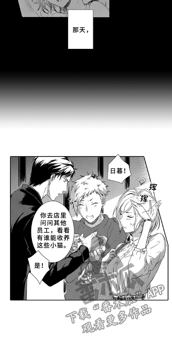 黑道之恋漫画,第7章：药钱4图