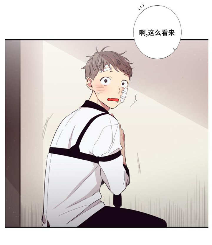 第三人对执行标的主张权利,确有理由的,行政机关中止执行。漫画,第29章：讨厌我吗5图