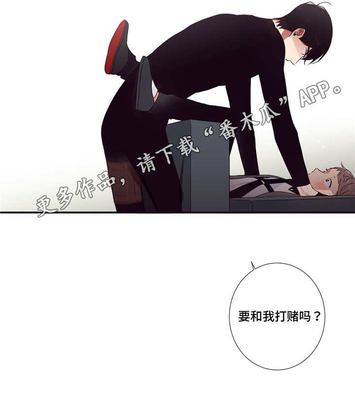 第三种人漫画,第77章：要打赌吗3图