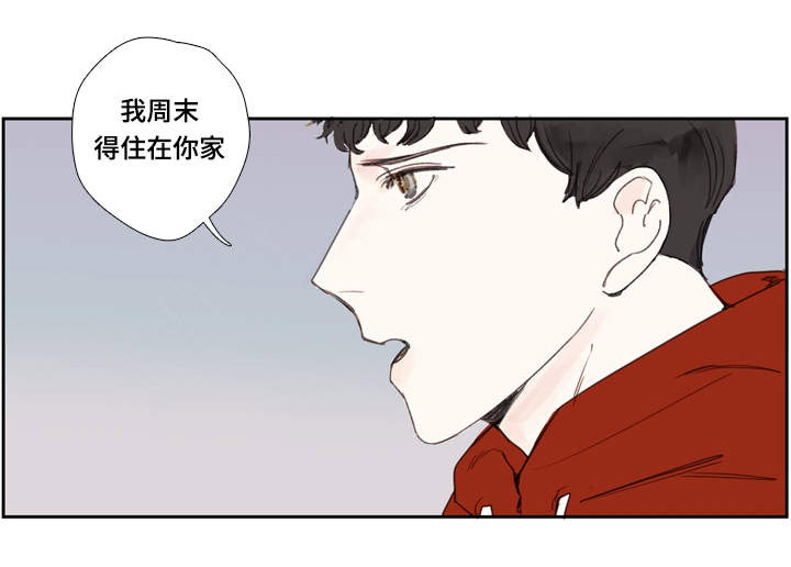 中彩漫画,第4章：毛巾1图