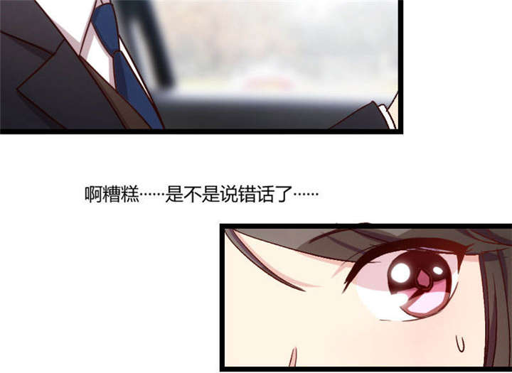 贺少的闪婚暖妻人物介绍漫画,第38章：见父母4图