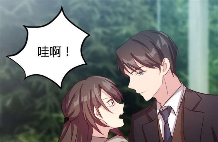 贺少的闪婚暖妻角色漫画,第32章：我想娶你3图