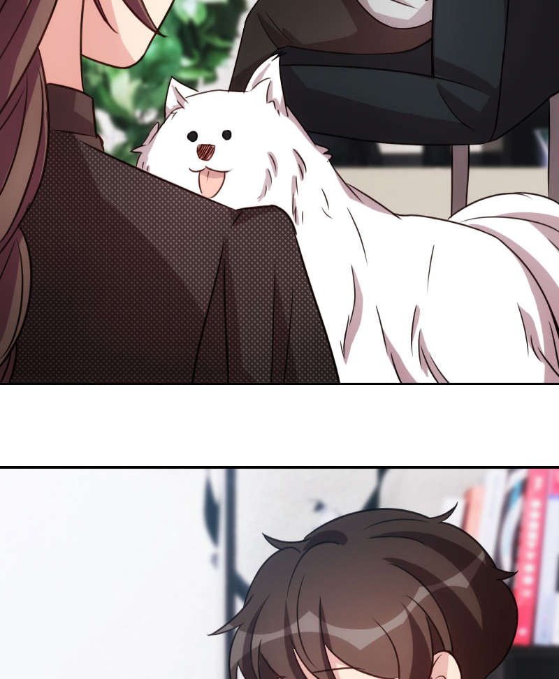 贺少的闪婚暖妻漫画免费下拉式奇漫屋漫画,第157章：又是那家人…3图