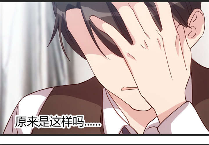 贺少的闪婚暖妻免费观看漫画,第32章：我想娶你1图